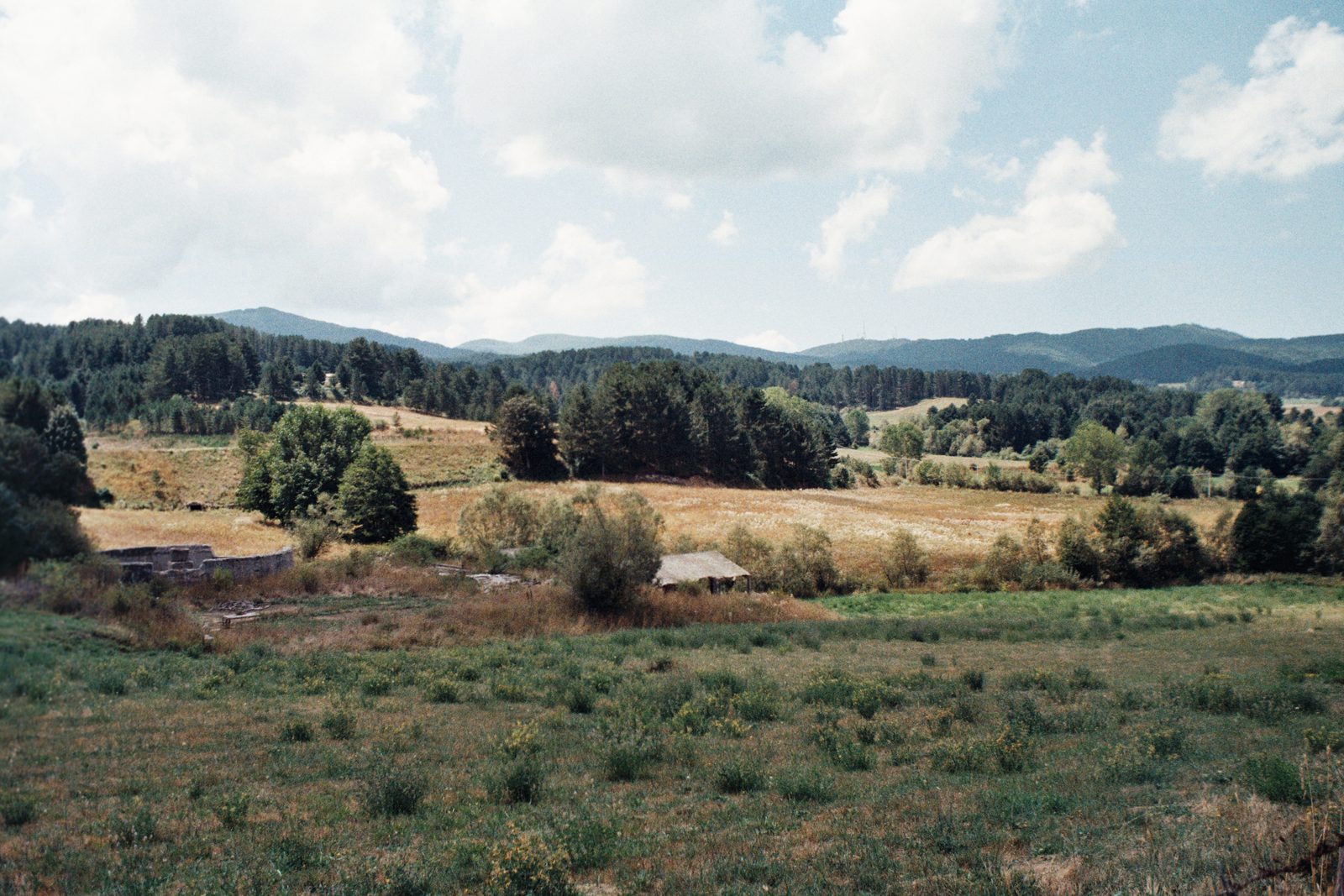 Campi coltivati sull’altopiano silano